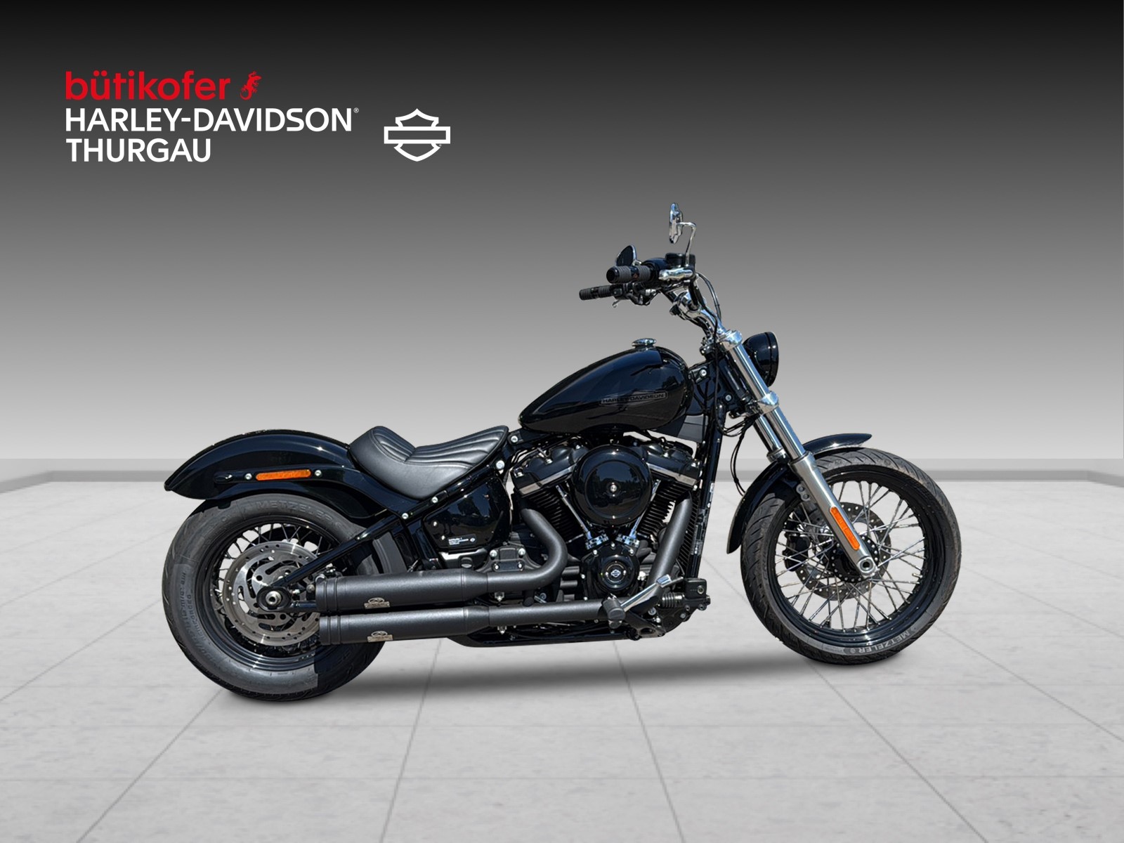 HARLEY-DAVIDSON FXST Softail Standard 107 - 2