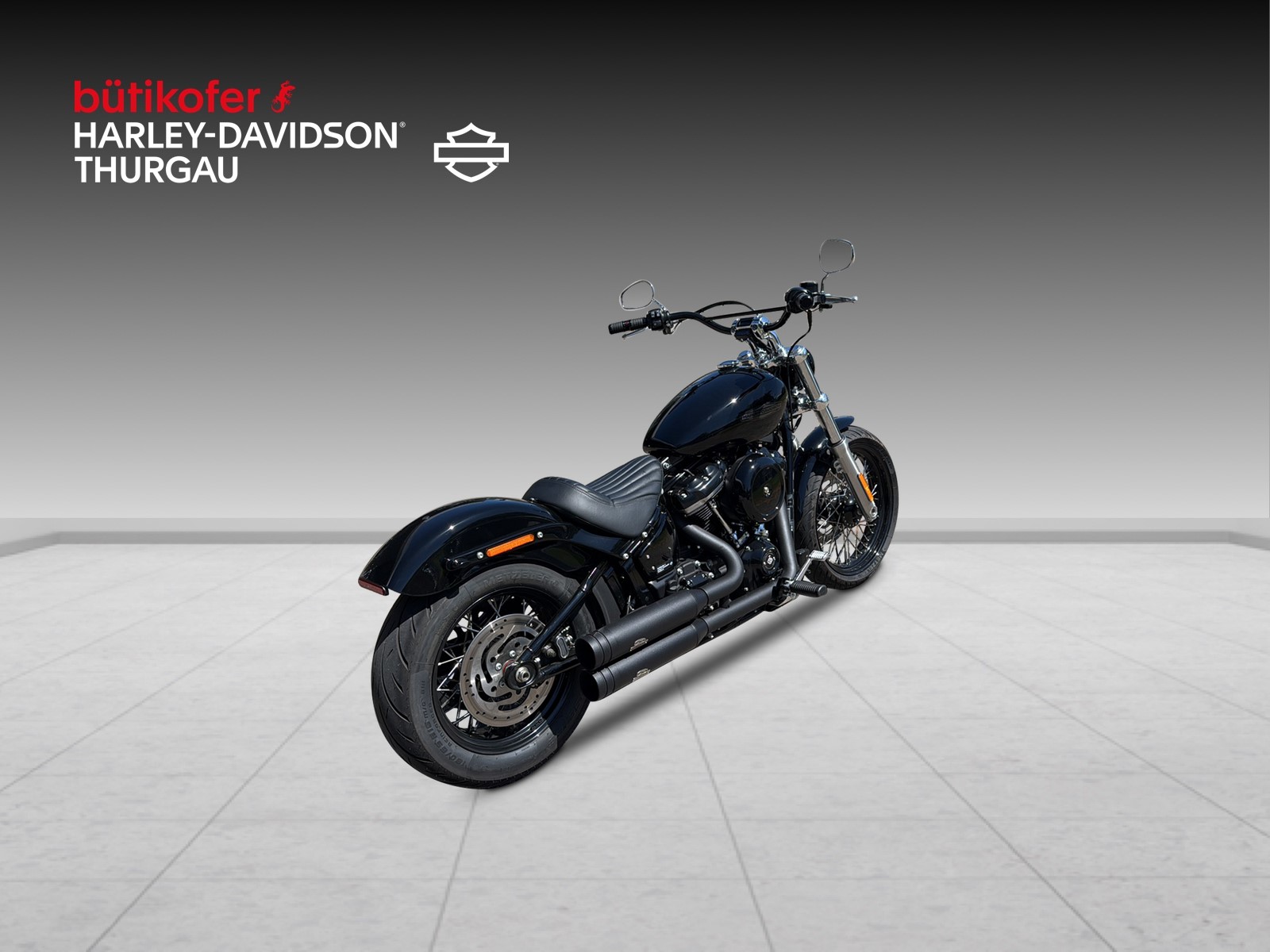 HARLEY-DAVIDSON FXST Softail Standard 107 - 3