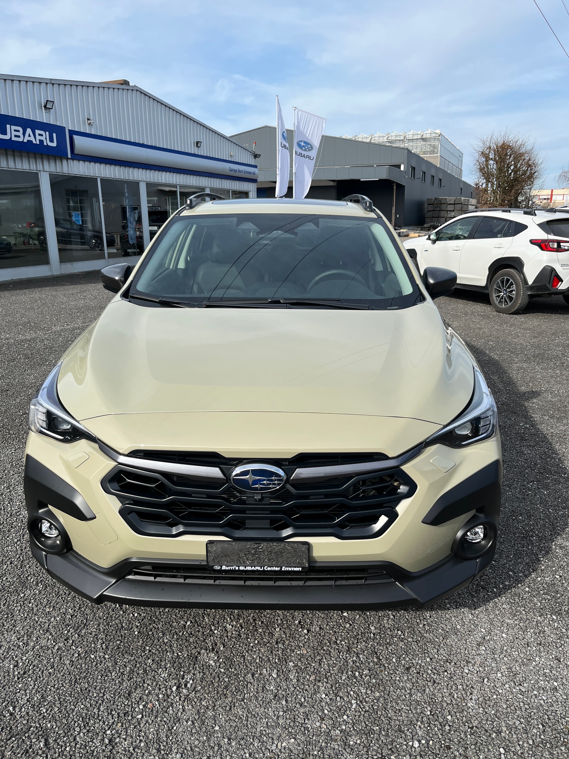 SUBARU Crosstrek 2.0 e-Boxer Luxury AWD Lineartronic - 18
