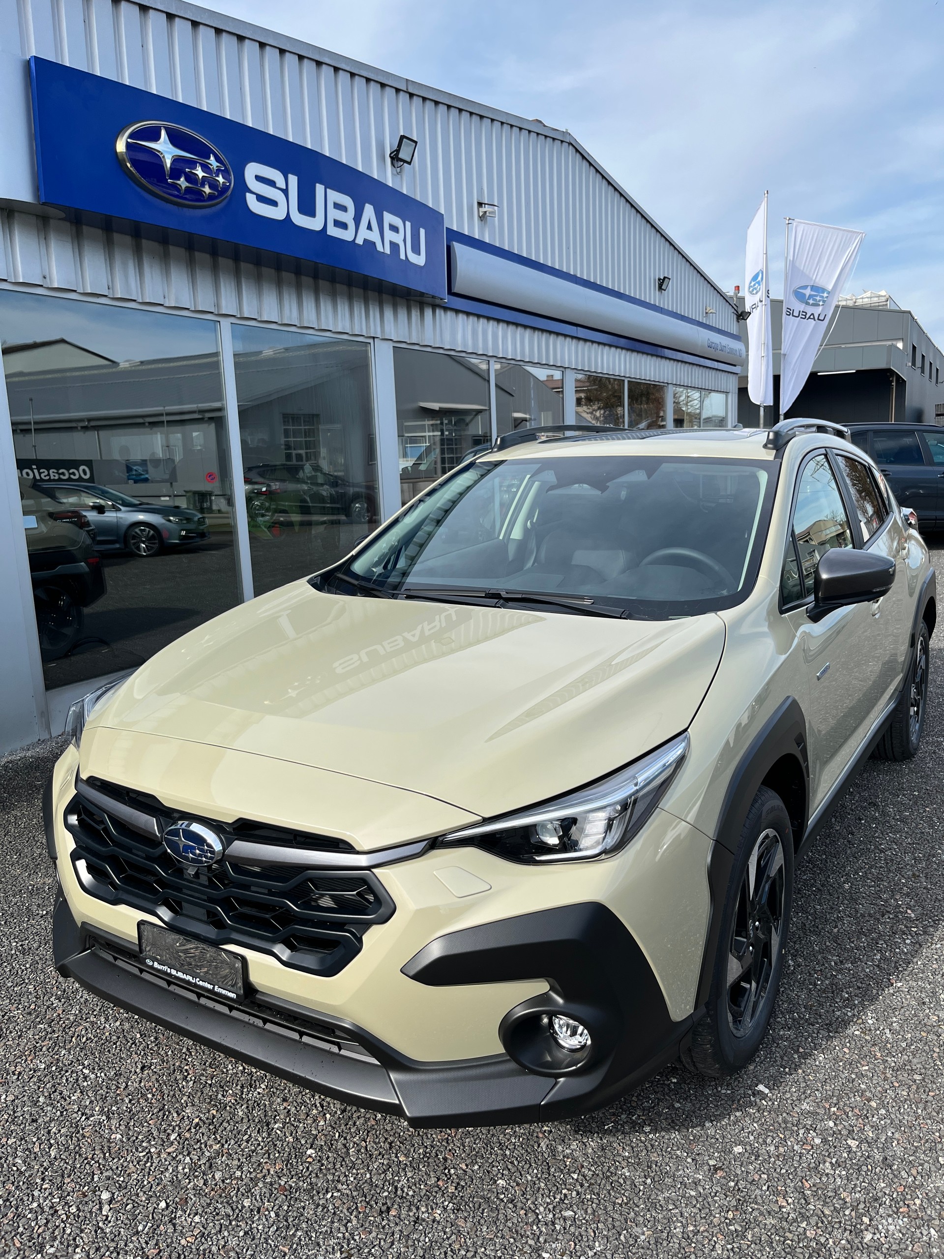SUBARU Crosstrek 2.0 e-Boxer Luxury AWD Lineartronic - 9