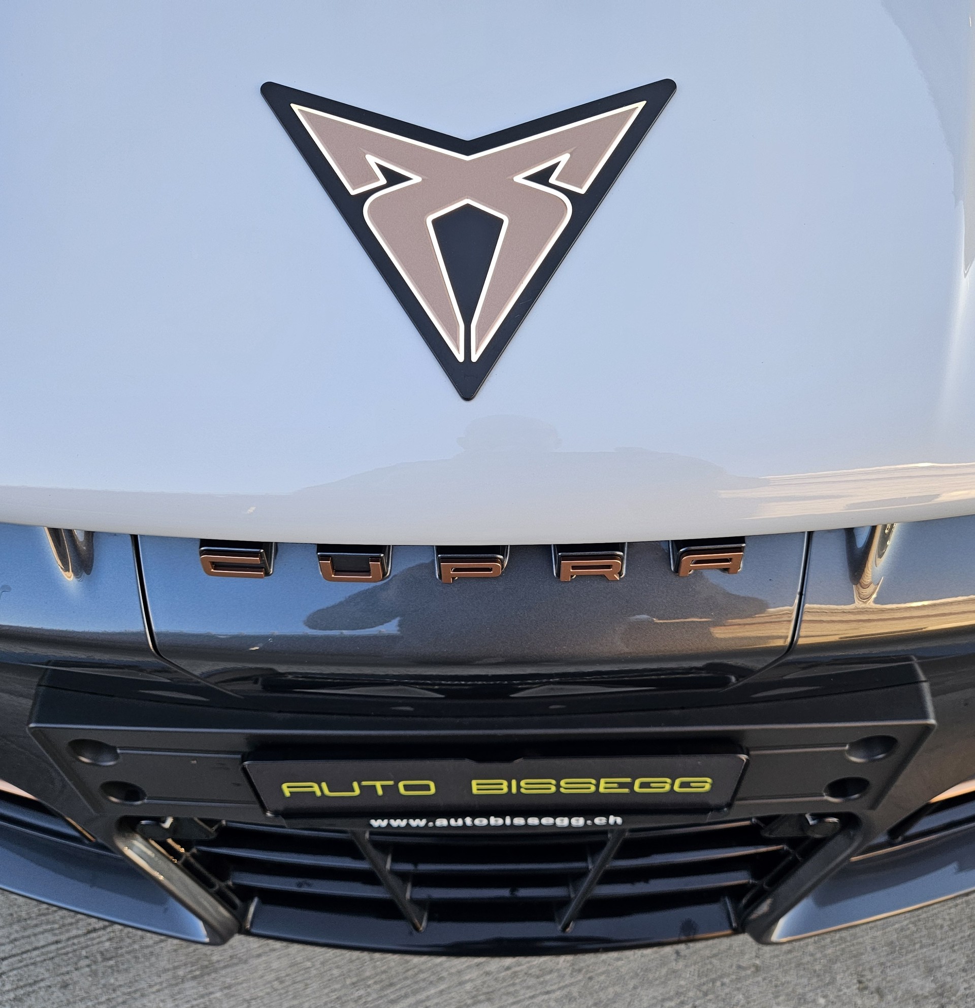 CUPRA Tavascan Type 4 77 kWh Endurance Edge - 3