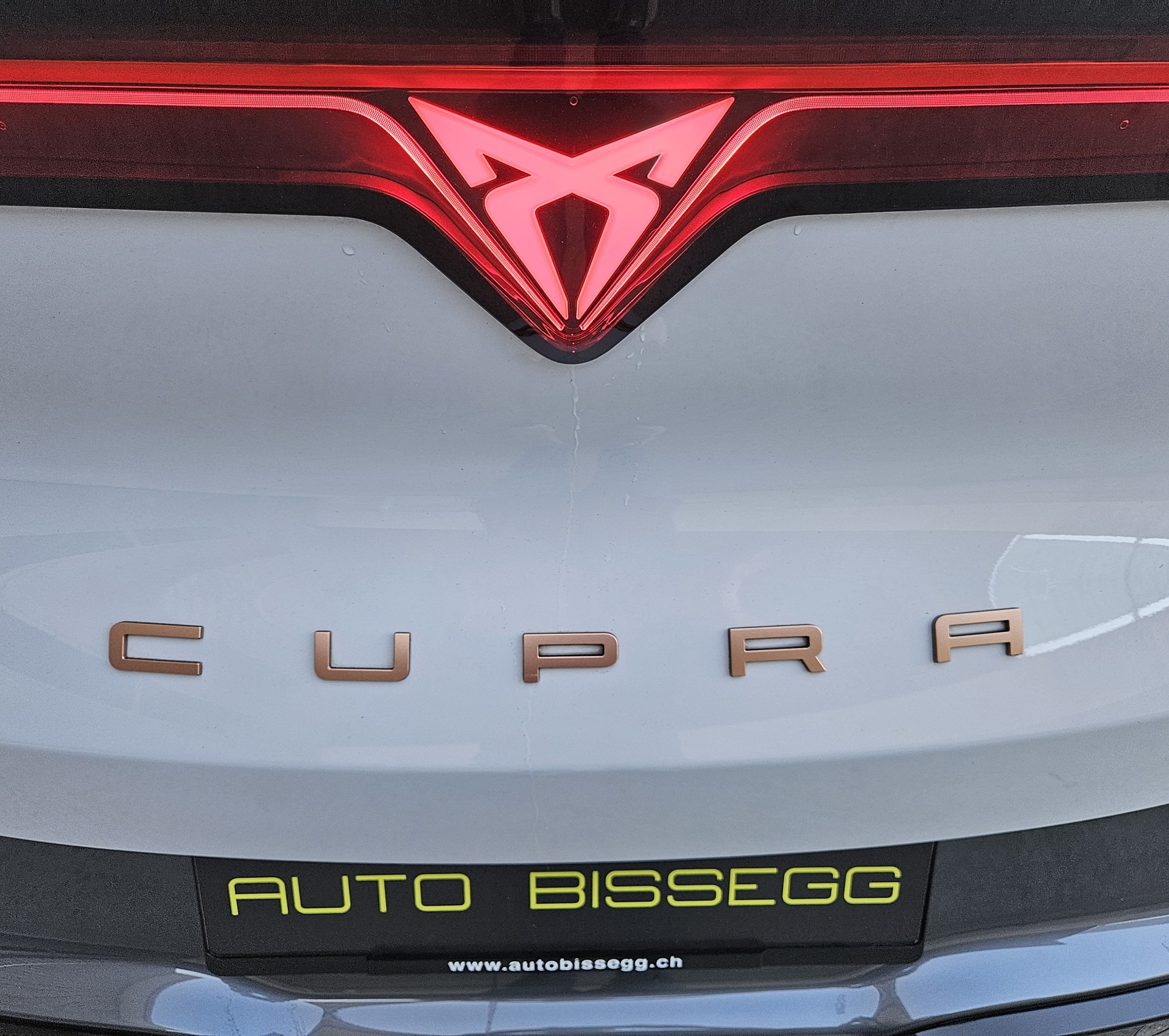 CUPRA Tavascan Type 4 77 kWh Endurance Edge - 10
