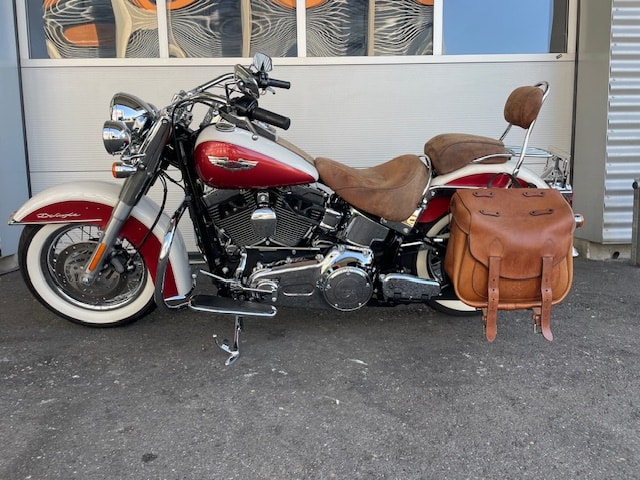 HARLEY-DAVIDSON FLSTN Softail Deluxe ABS - 2