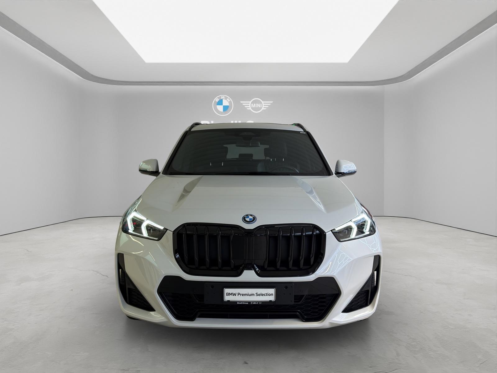 X1 30e xDrive paddles