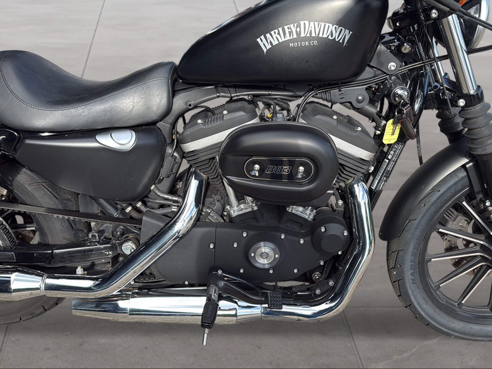 HARLEY-DAVIDSON XL 883 N Sportster Iron - 5
