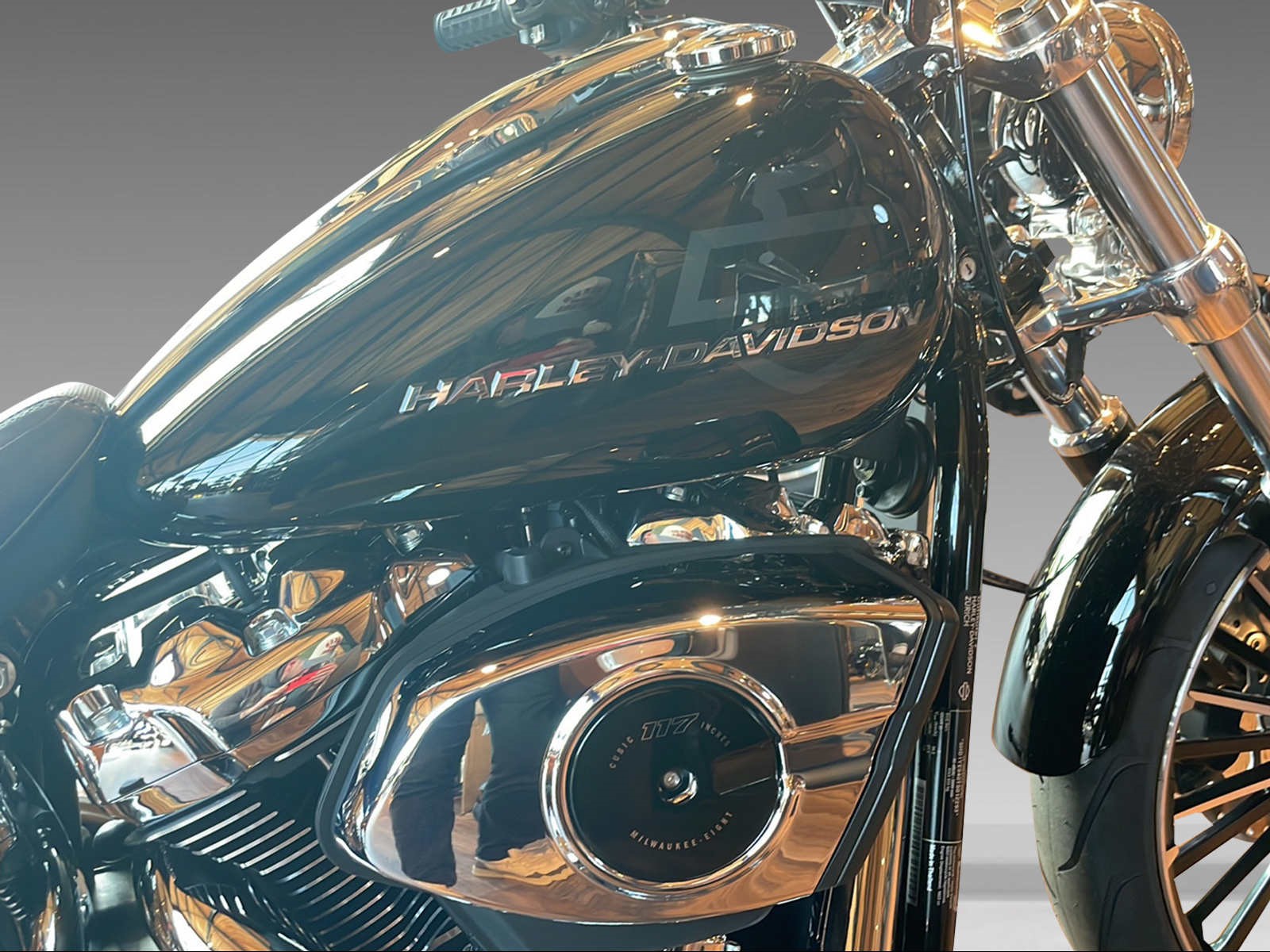 HARLEY-DAVIDSON FXBR Breakout 117 - 9