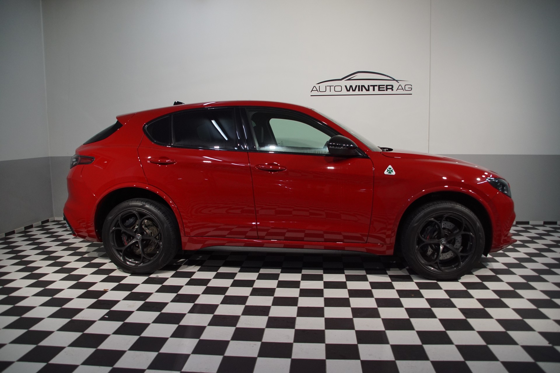 ALFA ROMEO Stelvio 2.9 V6 Quadrifoglio Q4 AT8 - 6
