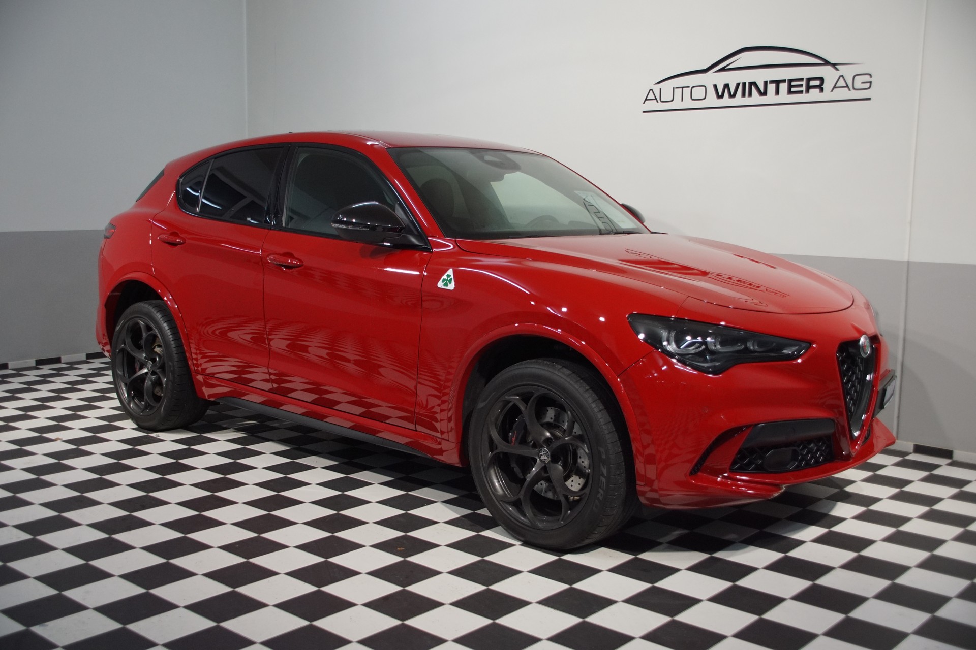 ALFA ROMEO Stelvio 2.9 V6 Quadrifoglio Q4 AT8 - 5