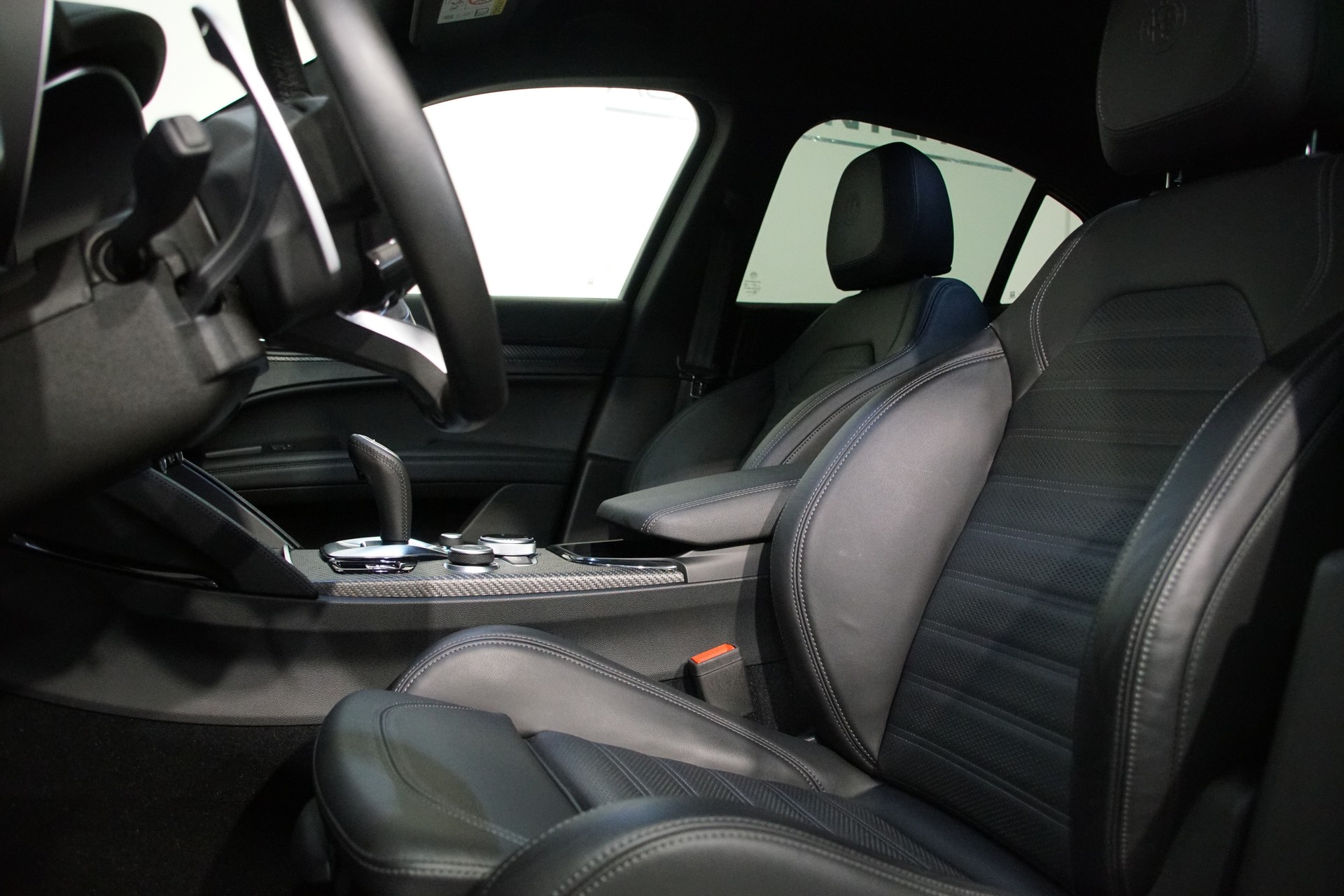 ALFA ROMEO Stelvio 2.9 V6 Quadrifoglio Q4 AT8 - 14