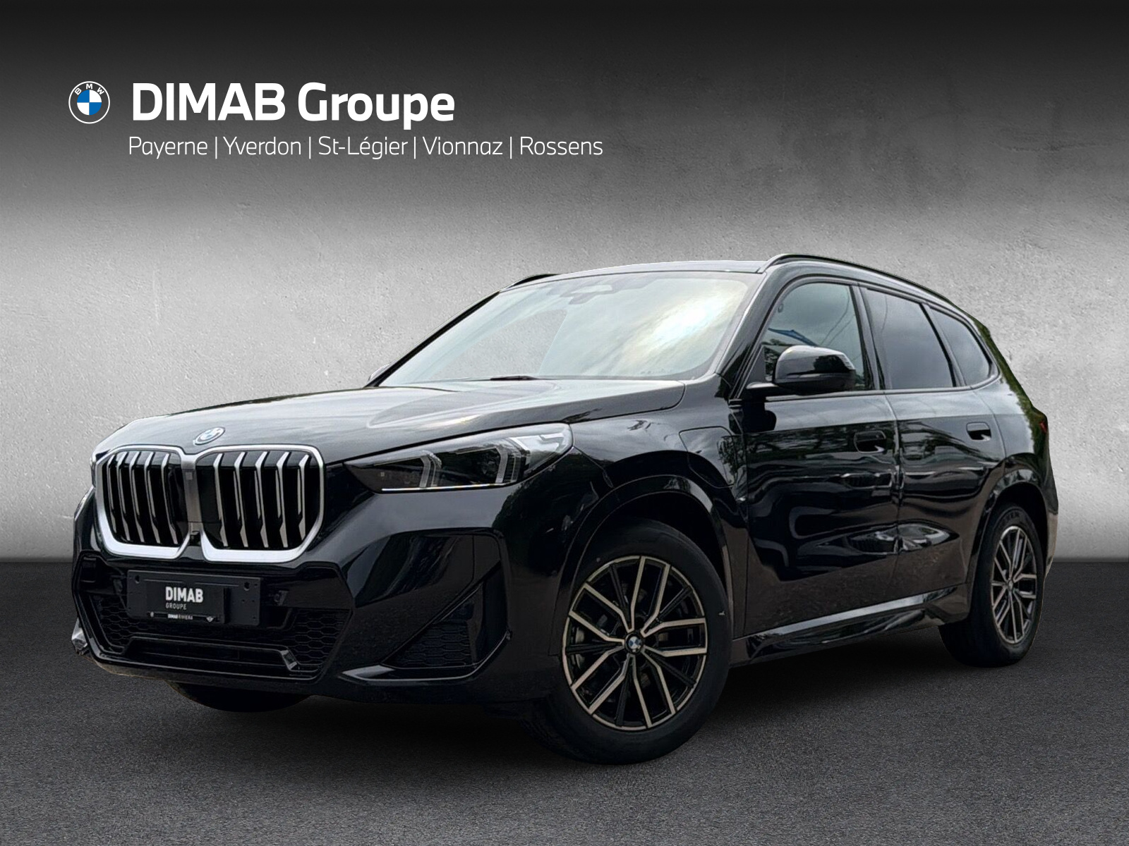 BMW X1 xDrive 25e M Sport