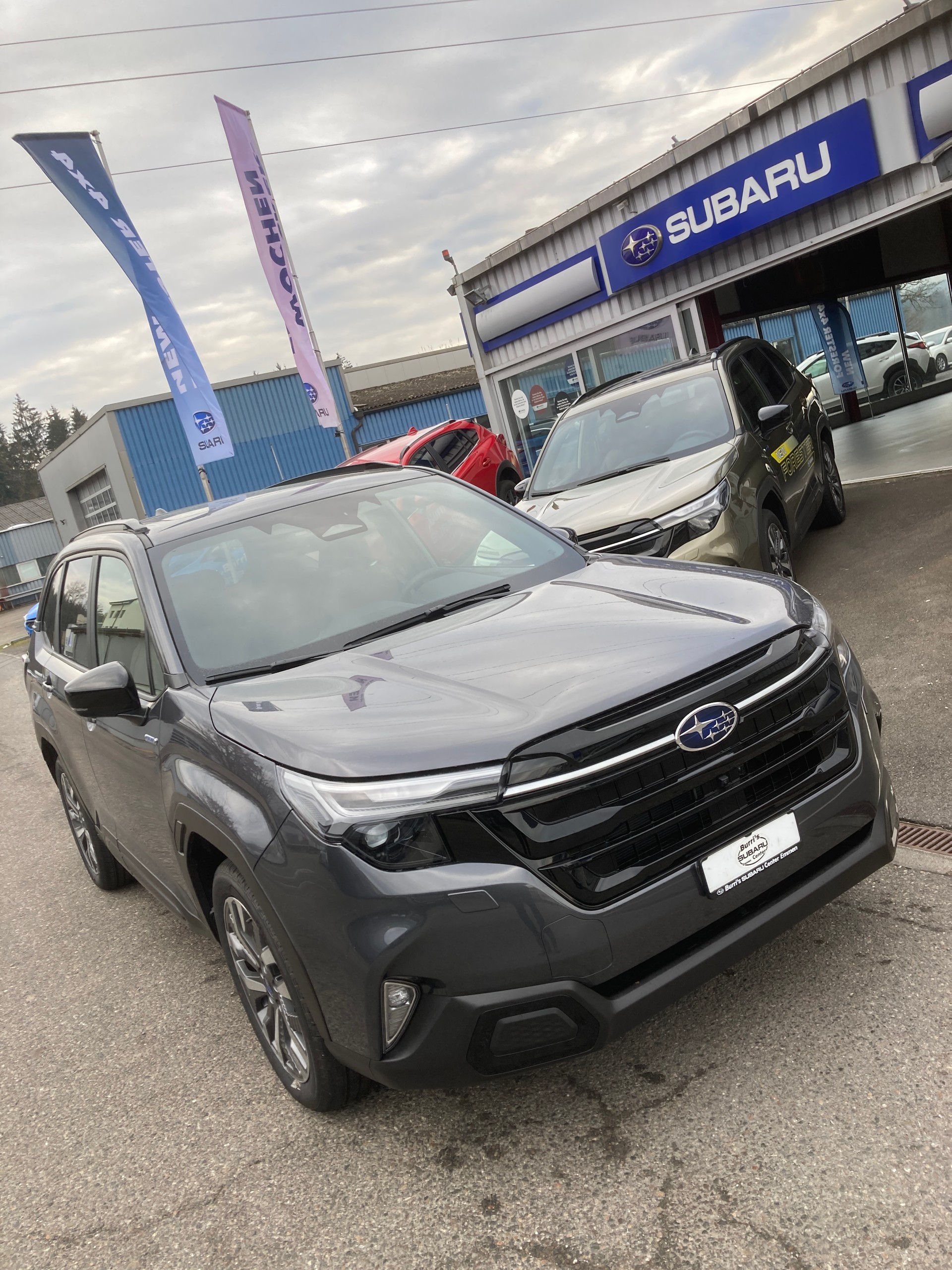 SUBARU Forester 2.0i e-Boxer Luxury Lineartronic - 5