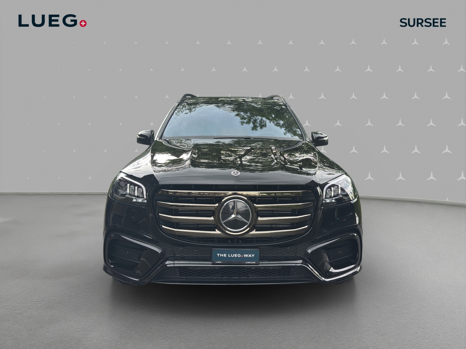 MERCEDES-BENZ GLS 450 d 4Matic 9G-Tronic - 6