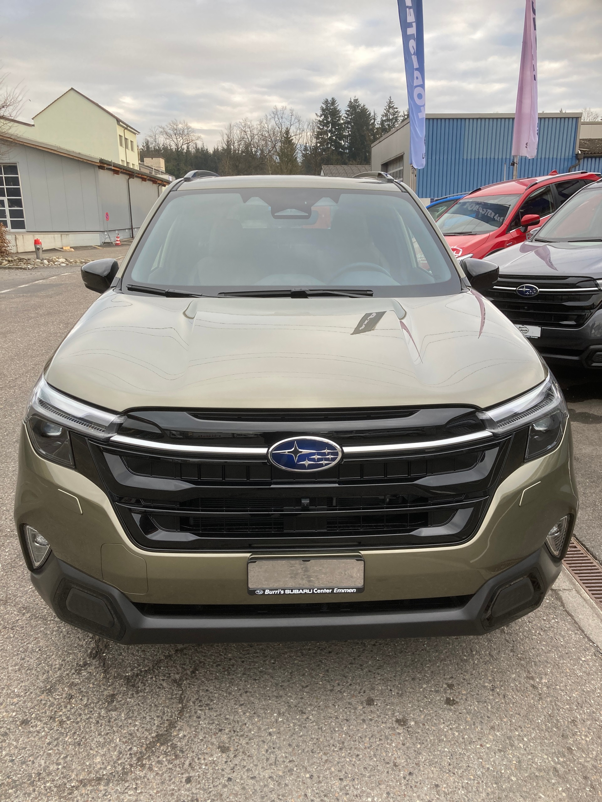 SUBARU Forester 2.0i e-Boxer Luxury Lineartronic - 6