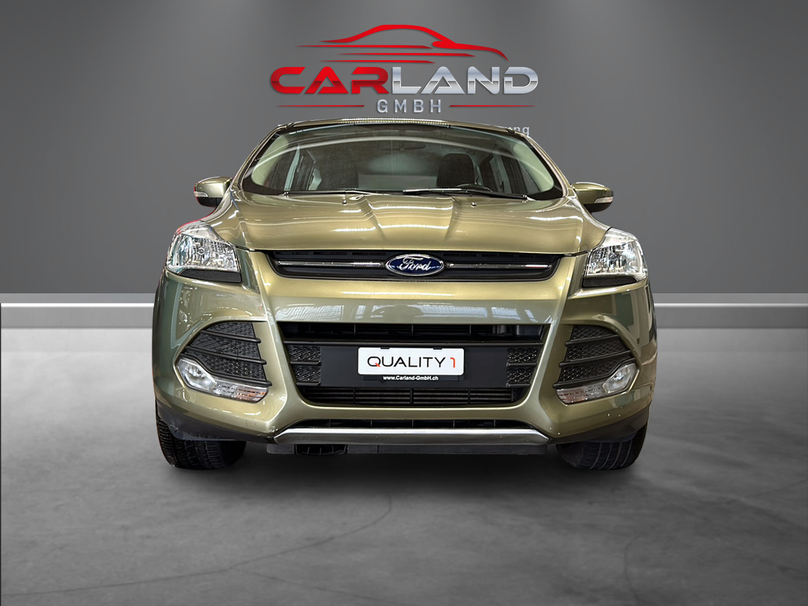 FORD Kuga 2.0 TDCi Carving 4WD PowerShift - 8