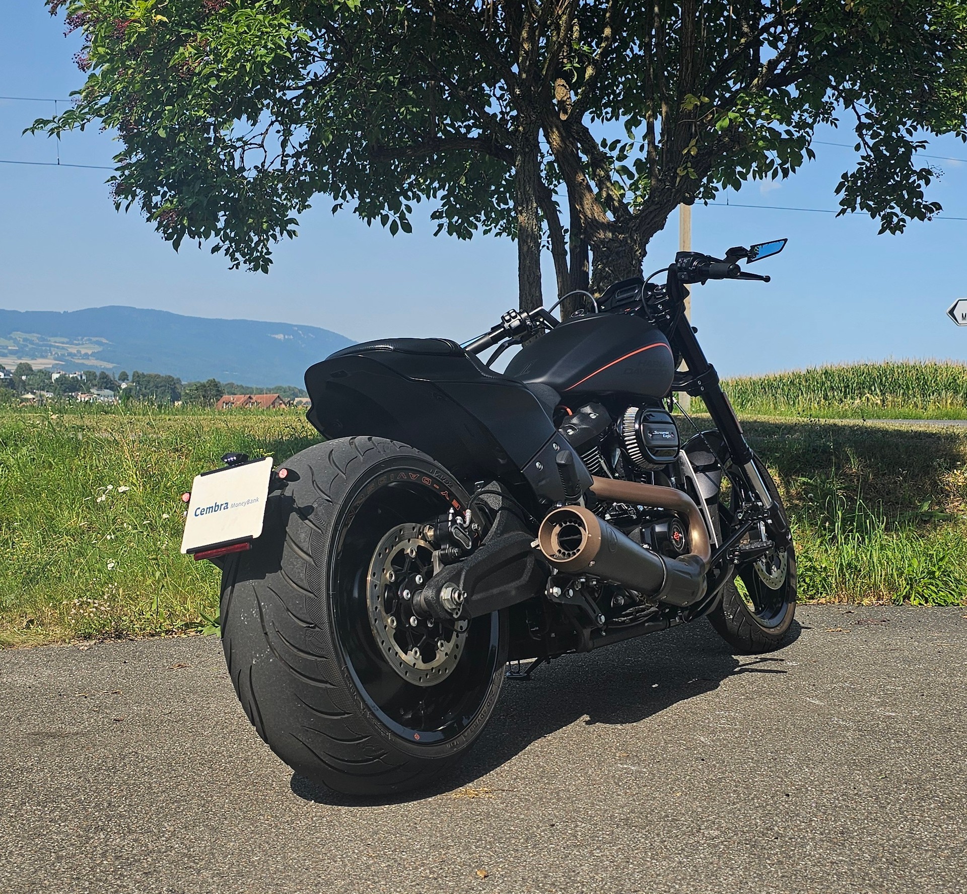 HARLEY-DAVIDSON FXDRS 114 ABS - 5