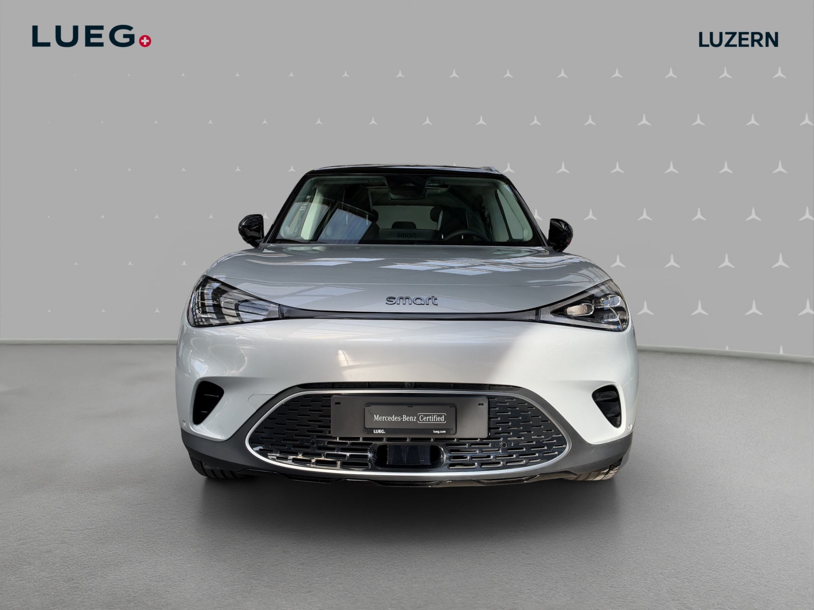 SMART #1 66kWh Premium - 6