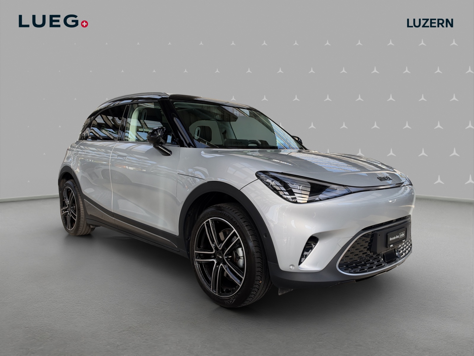 SMART #1 66kWh Premium - 5