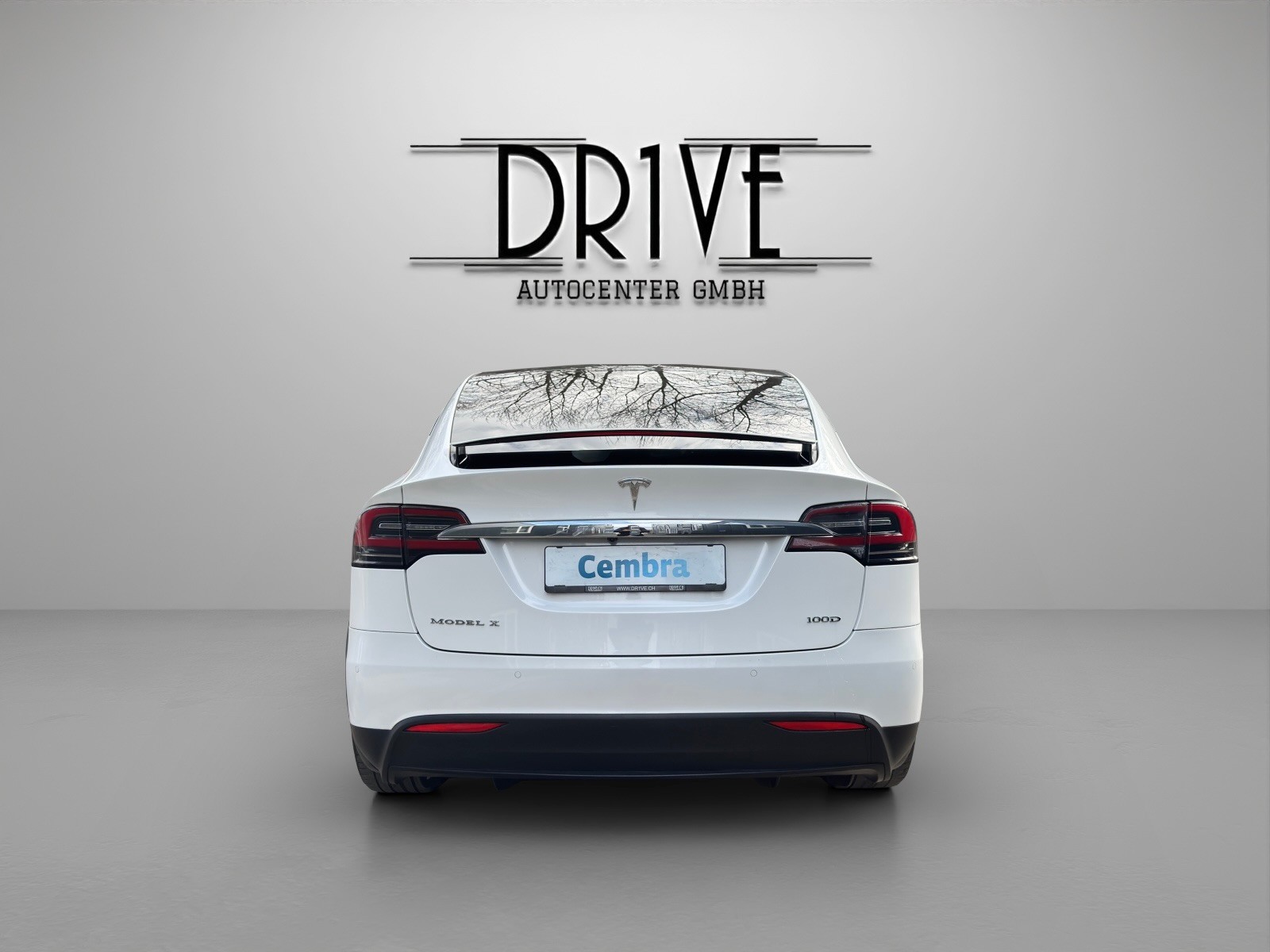 TESLA Model X 100 D - 6