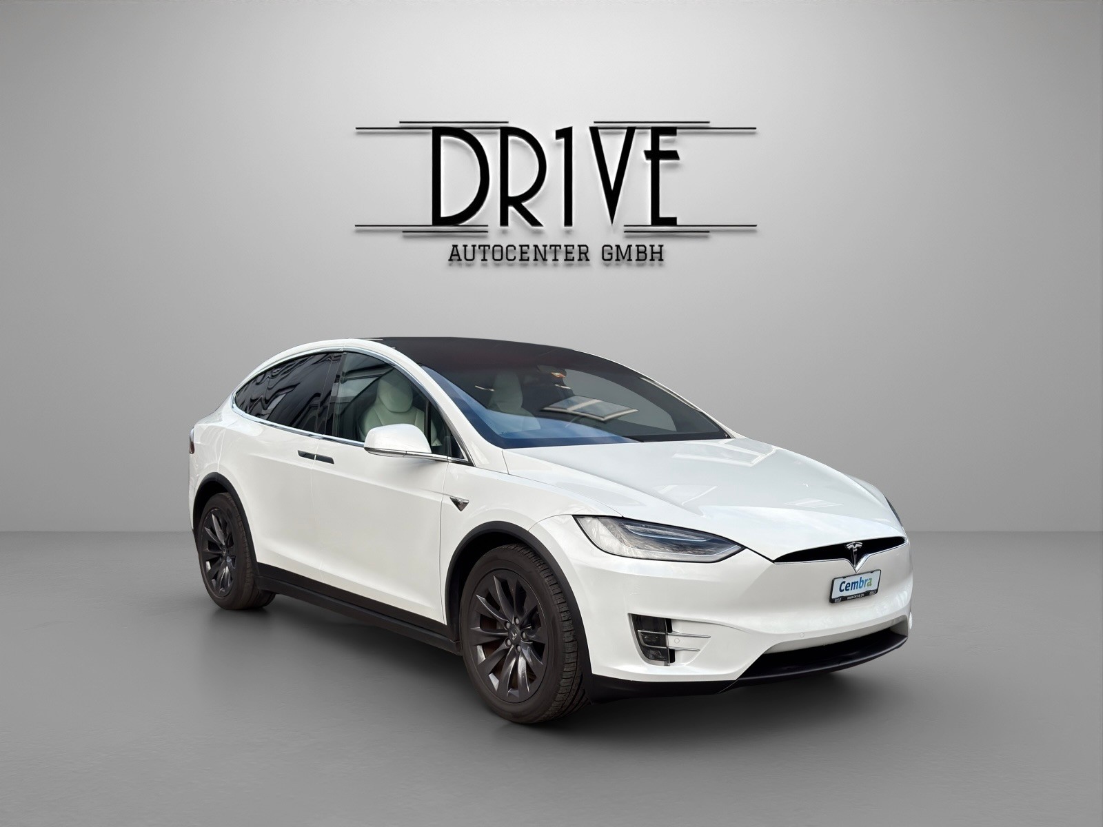 TESLA Model X 100 D - 3