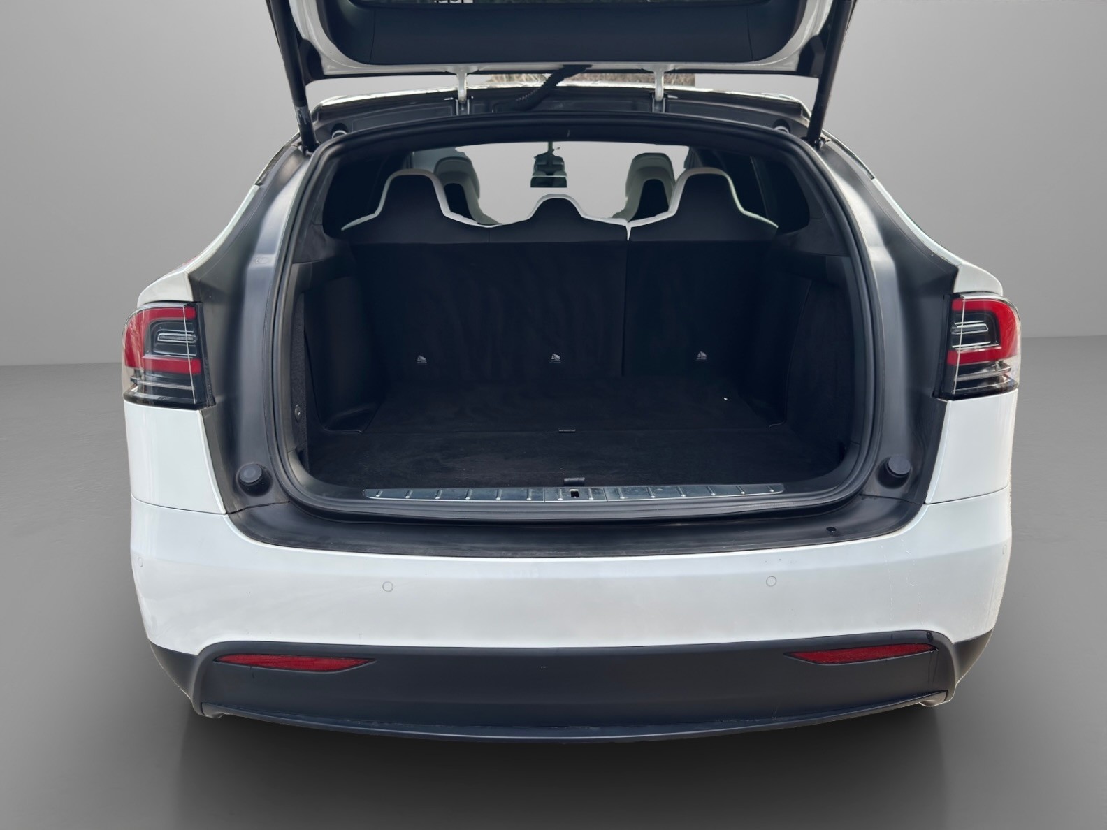 TESLA Model X 100 D - 12