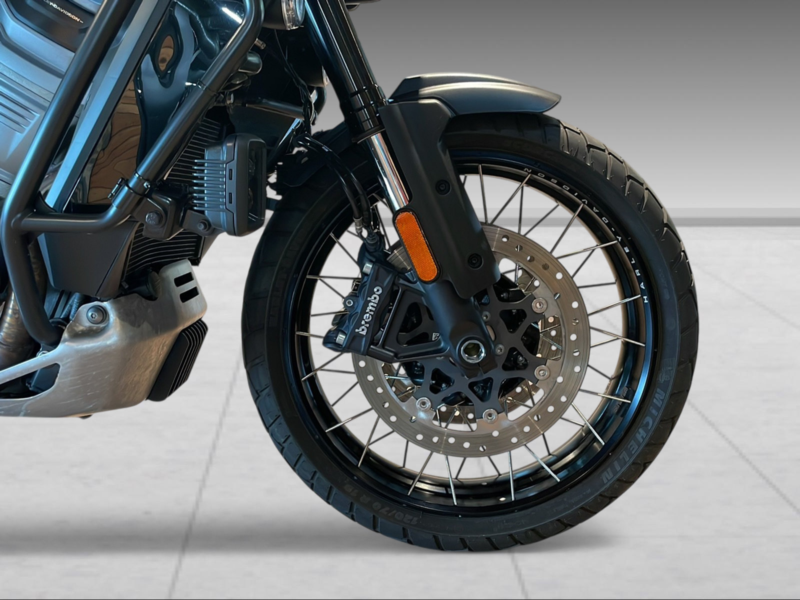 HARLEY-DAVIDSON RA Pan America 1250 Special - 7