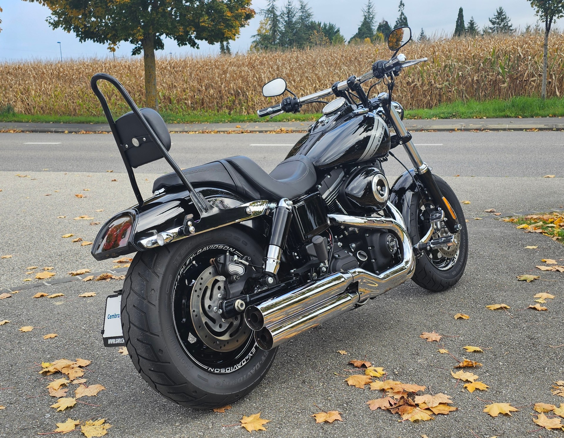 HARLEY-DAVIDSON FXDF Dyna Fat Bob 103 ABS - 3