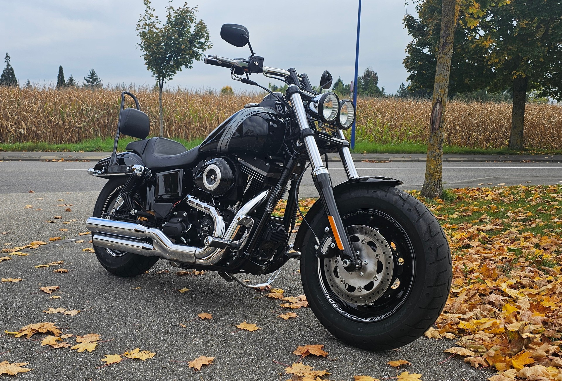 HARLEY-DAVIDSON FXDF Dyna Fat Bob 103 ABS - 2