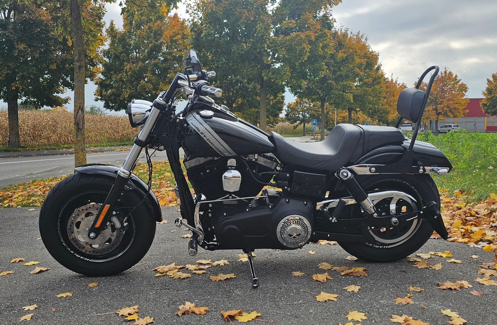 HARLEY-DAVIDSON FXDF Dyna Fat Bob 103 ABS - 5