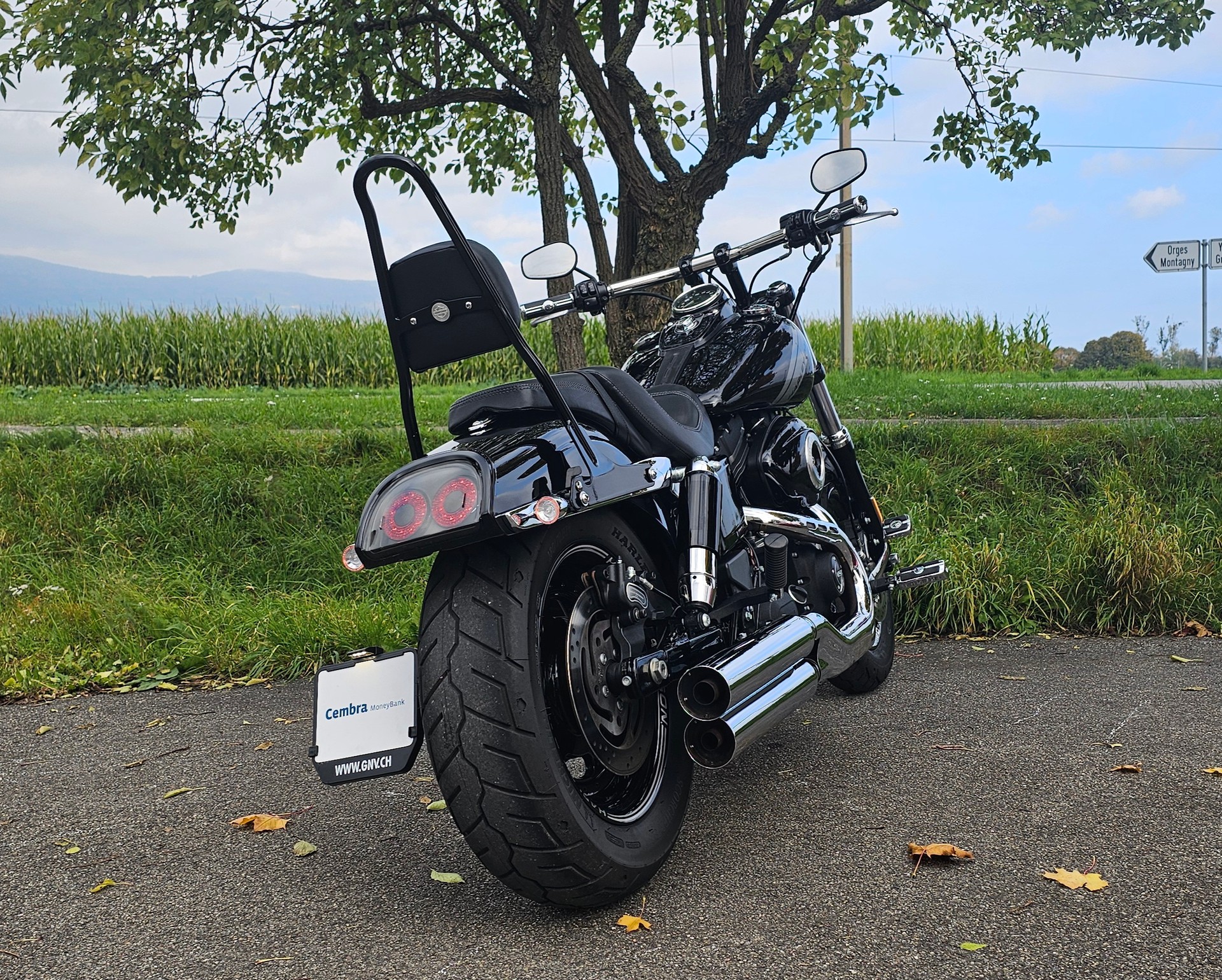 HARLEY-DAVIDSON FXDF Dyna Fat Bob 103 ABS - 4