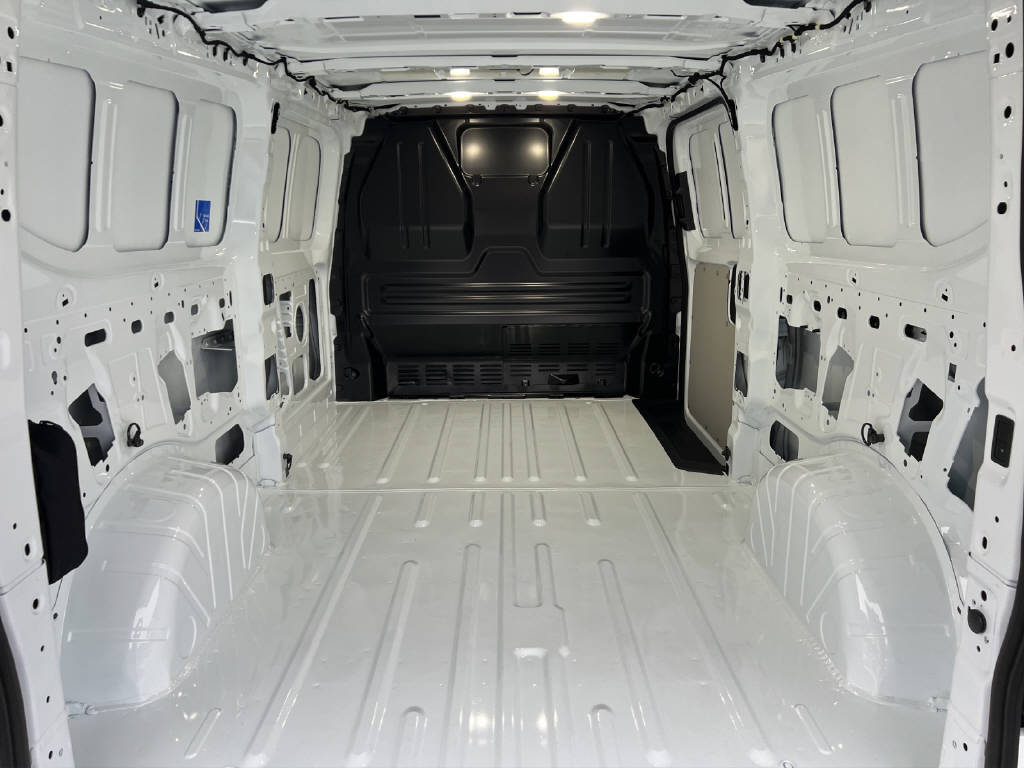 FORD Transit Custom Van 320 L2 2.5 Duratec 233 Trend PHEV - 9
