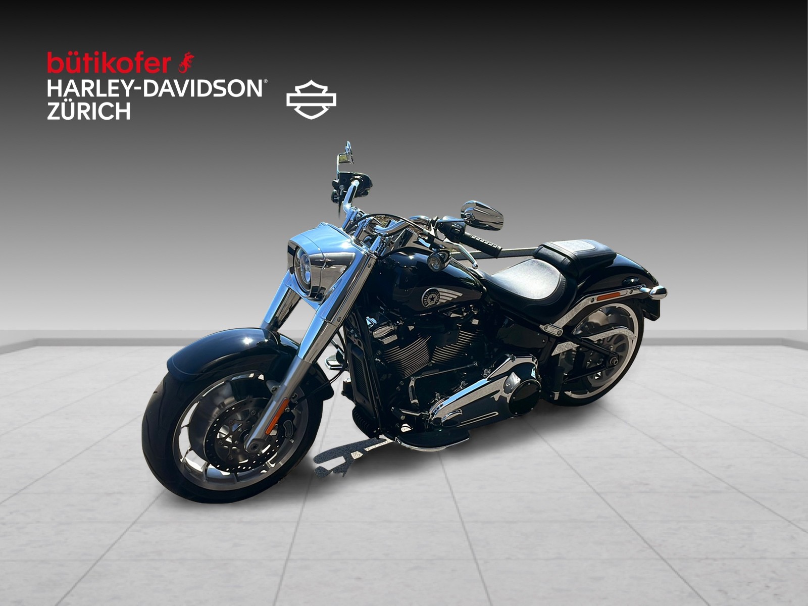 HARLEY-DAVIDSON FLFB Fat Boy 117 - 3