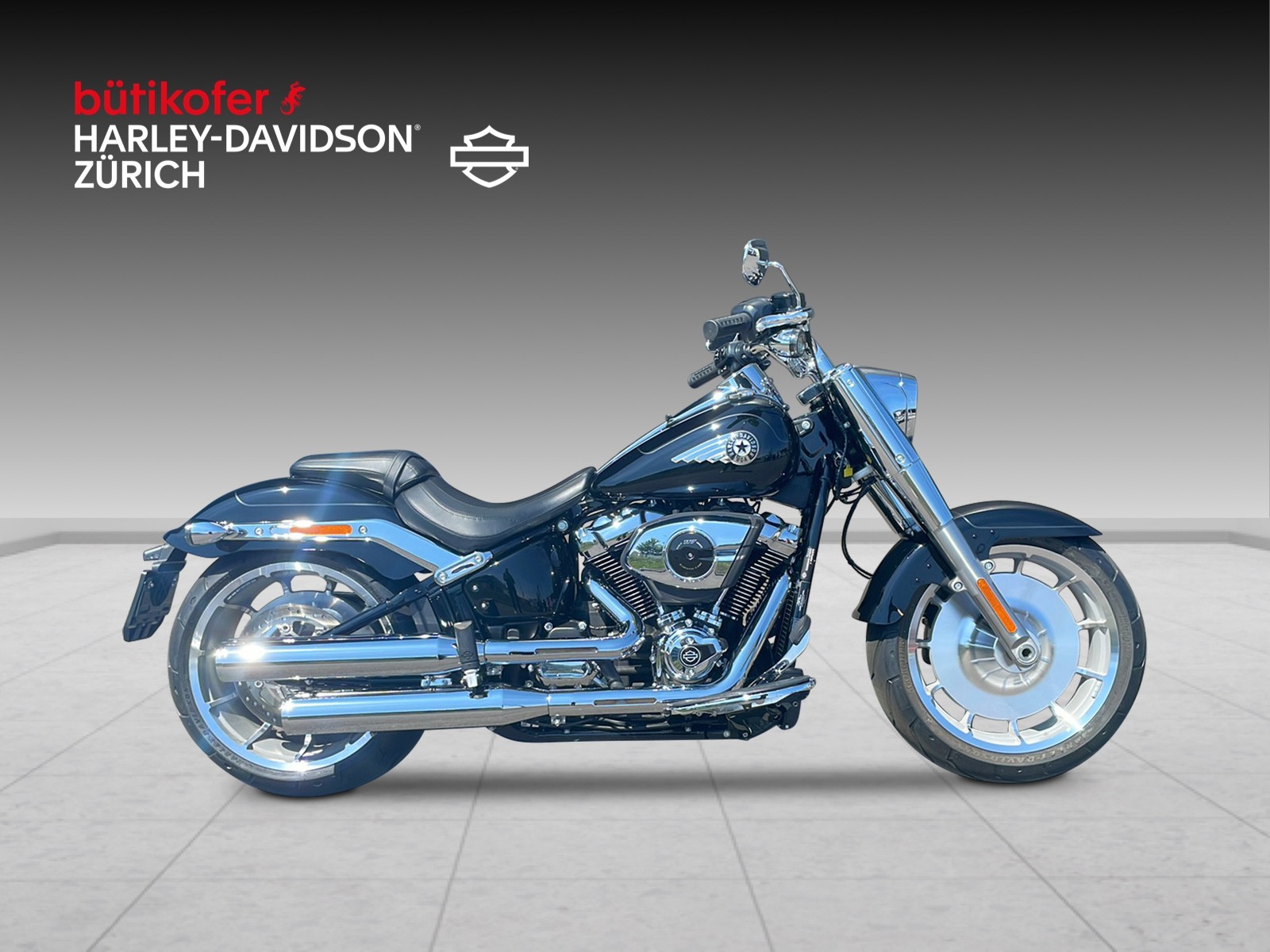 HARLEY-DAVIDSON FLFB Fat Boy 117