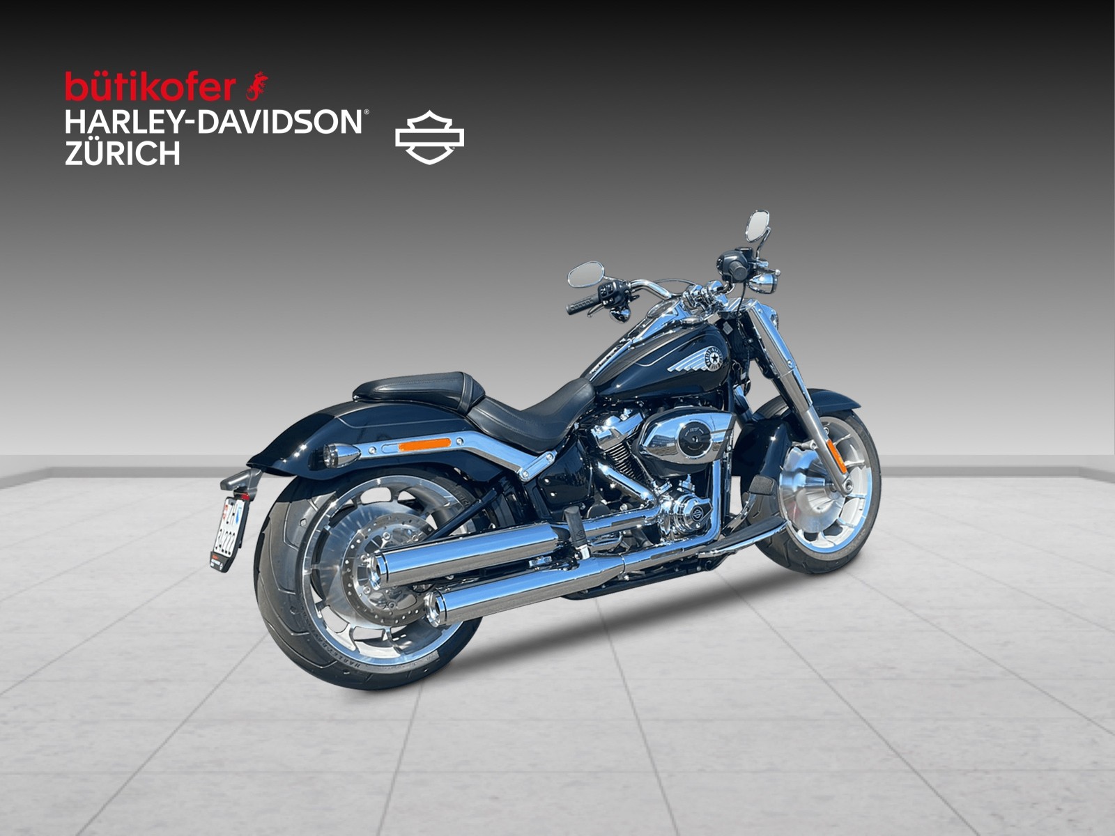 HARLEY-DAVIDSON FLFB Fat Boy 117 - 6