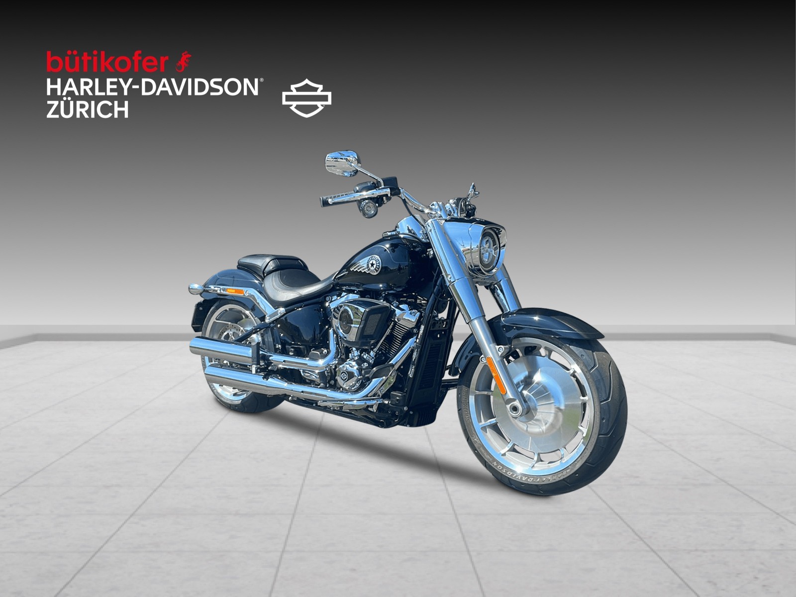 HARLEY-DAVIDSON FLFB Fat Boy 117 - 2