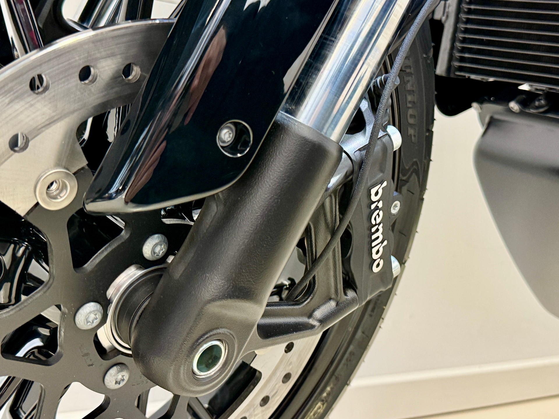 LIVEWIRE S2 Alpinista - 8