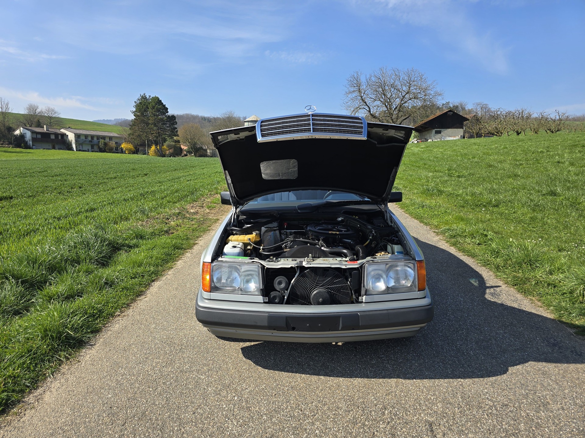 MERCEDES-BENZ 230 - 20