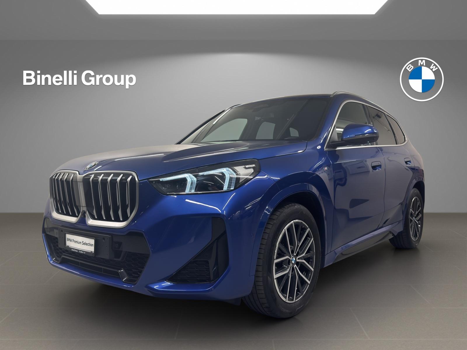 X1 23i xDrive paddles