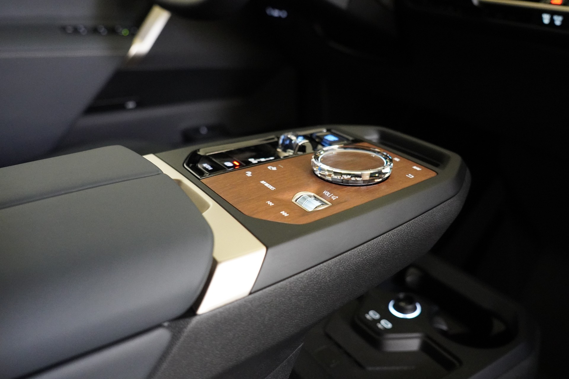 BMW iX xDrive40 Launch Edition - 17