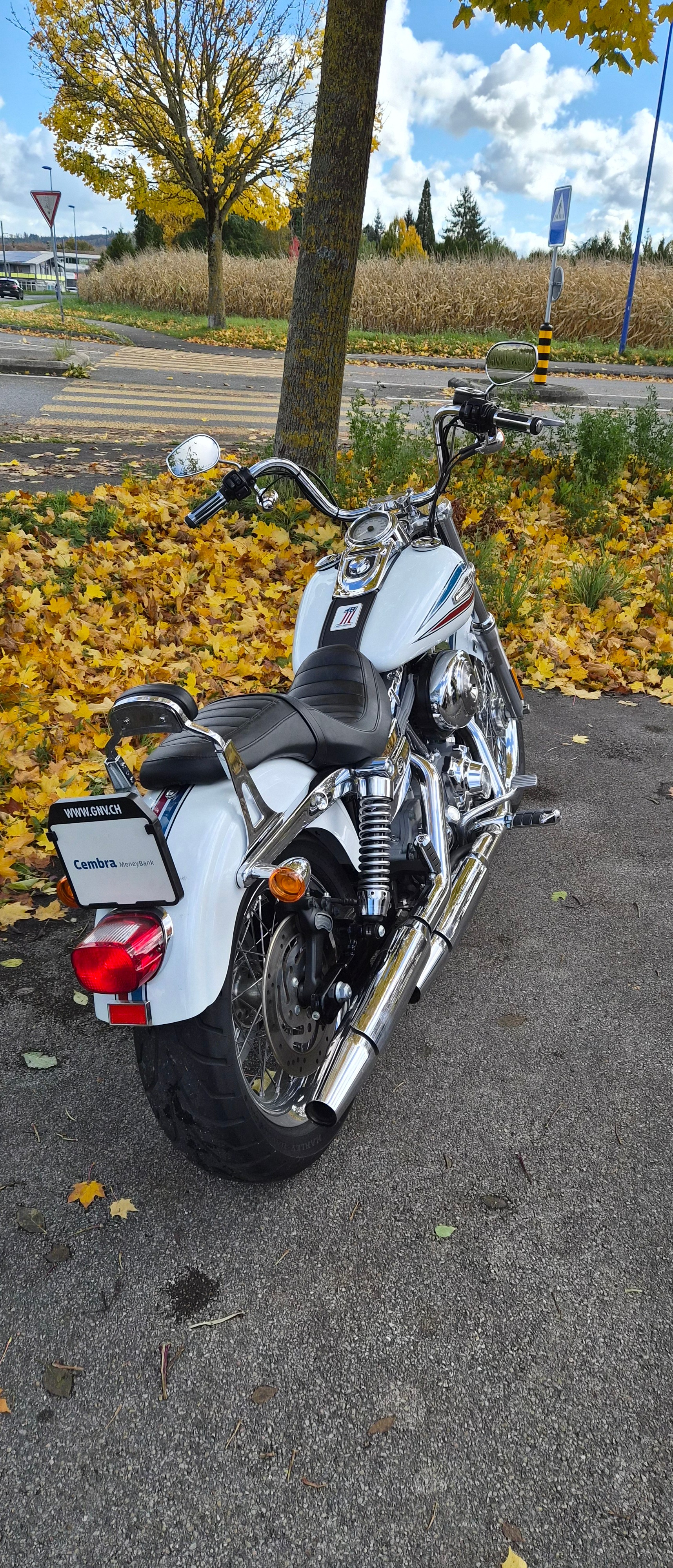 HARLEY-DAVIDSON FXDI35 Dyna Super Glide 35th Anniversary - 4