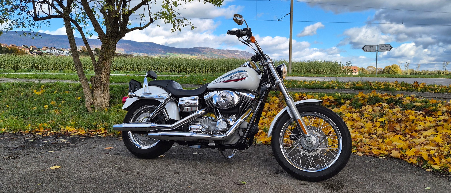 HARLEY-DAVIDSON FXDI35 Dyna Super Glide 35th Anniversary - 3